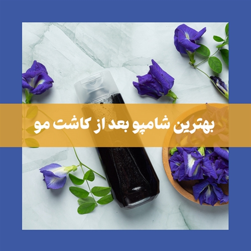 راهنمای خرید بهترین شامپو بعد از کاشت مو
