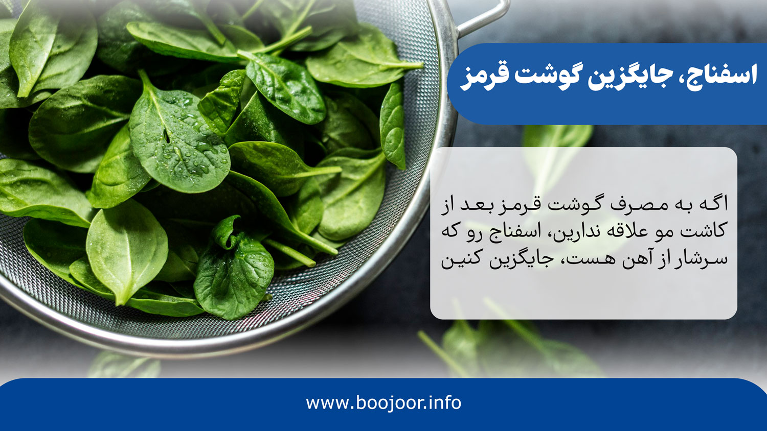 اسفناج جایگزین گوشت قرمز