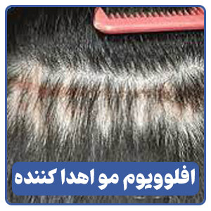 افلوویوم مو اهدا کننده
