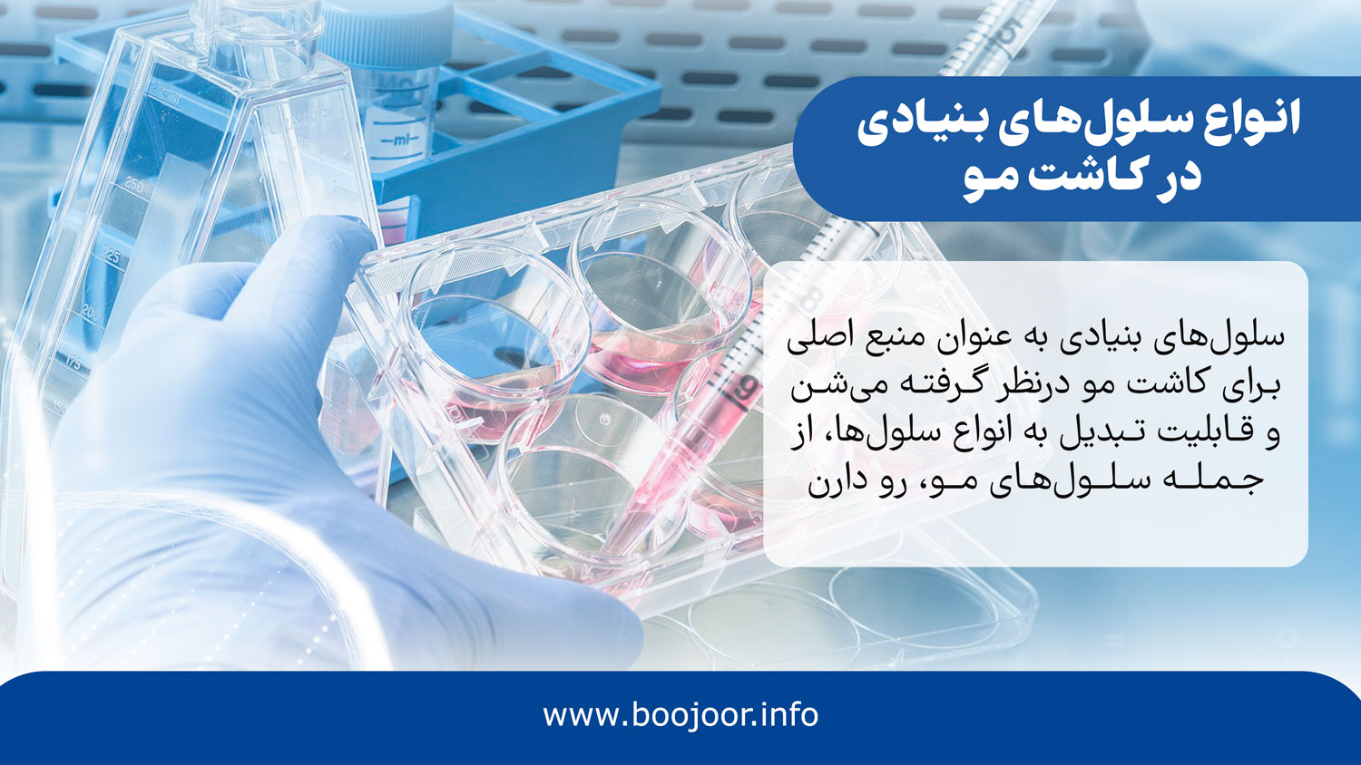 انواع سلول های بنیادی در کاشت مو