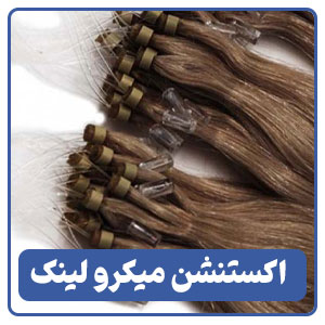 اکستنشن میکرو لینک