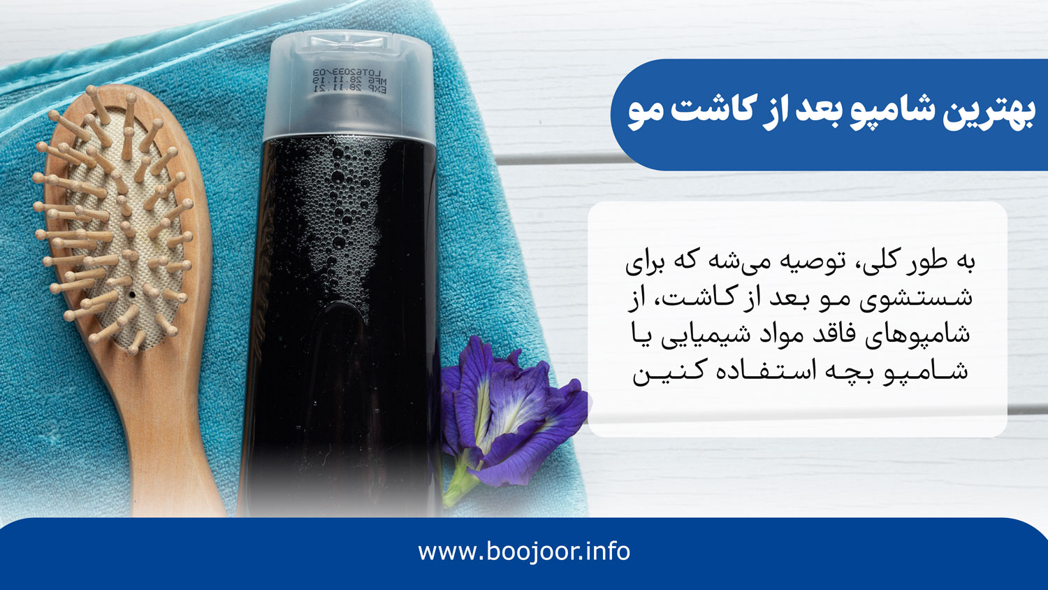 بهترین شامپو بعد از کاشت مو