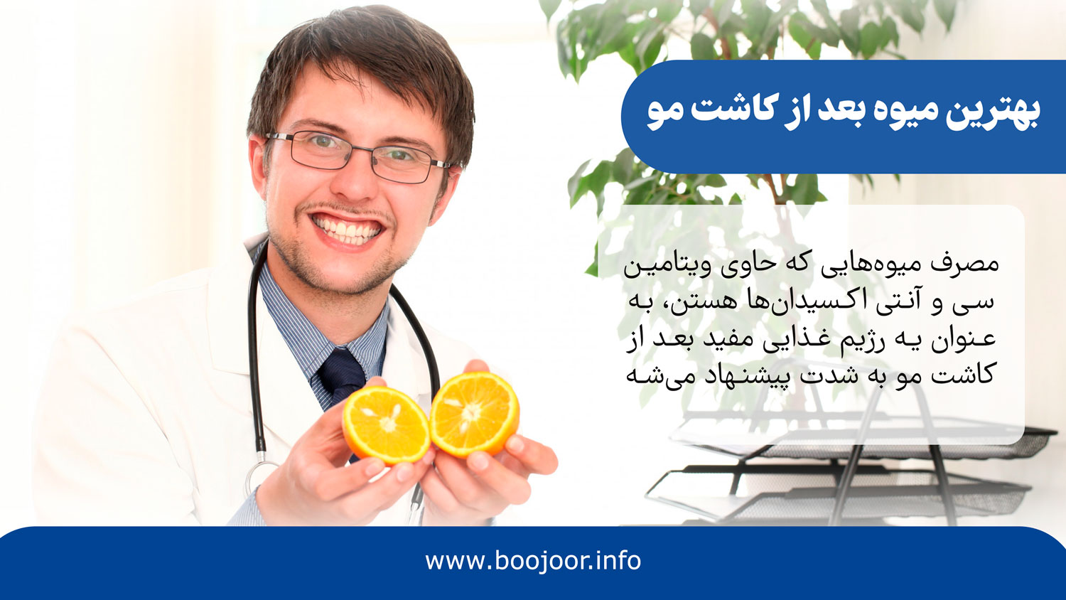 بهترین میوه بعد از کاشت مو