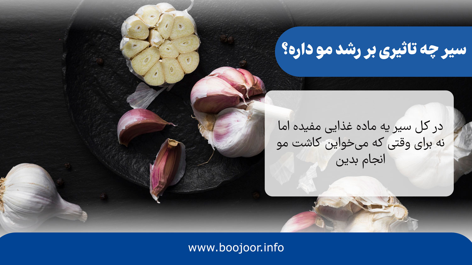 سیر چه تاثیری بر رشد مو داره