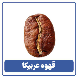 قهوه عربیکا - بوجور