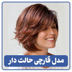 مدل کوتاهی قارچی حالت دار