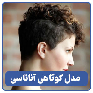 مدل کوتاهی آناناسی