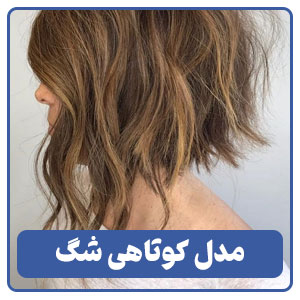 مدل کوتاهی شگ